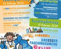 Plakat Feldbacher Fasching