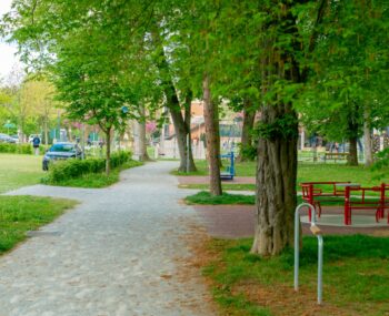 Feldbacher Raabspaziergang 2025 001