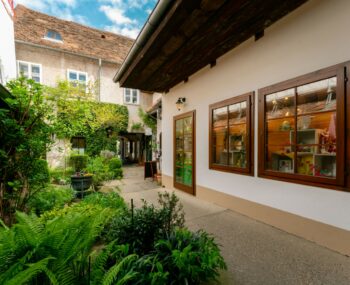 Feldbacher Stadtspaziergang 2025 038 (Groß)