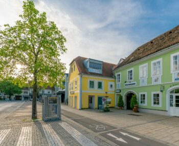 Feldbacher Stadtspaziergang 2025 075 (Groß)