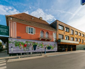 Feldbacher Stadtspaziergang 2025 095 (Groß)