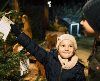 VL Advent(c) Bernhard Bergmann 1061990 (Groß)